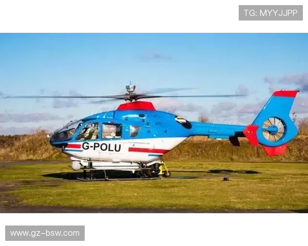 直升机旋翼系统的载荷监测设备